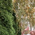 dinara_4_90