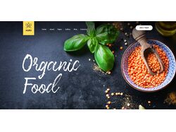 Food organic