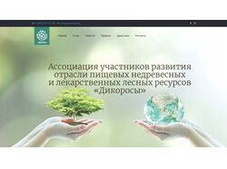 dicorosy.org