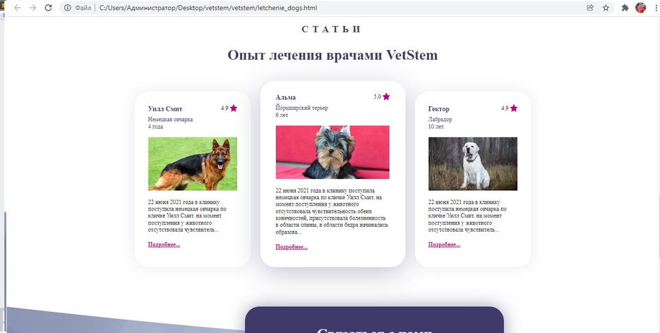 портфолио4.2.png