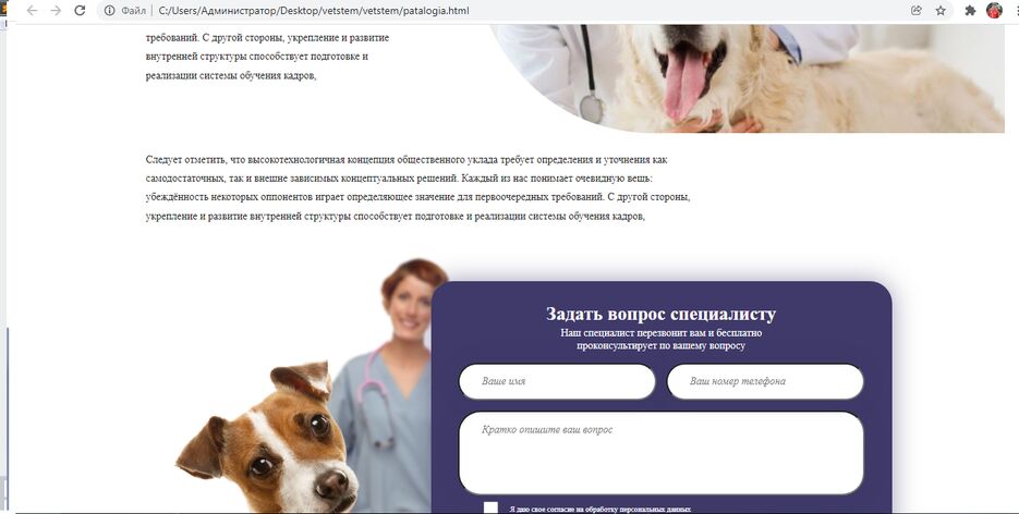 портфолио6.2.png
