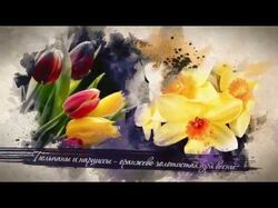 Видеооткрытки
