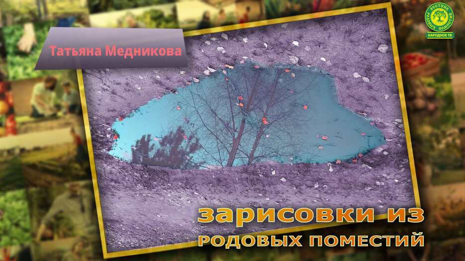 Лужи3.jpg