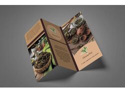 Буклет фірмового стилю