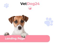 Veterinary clinic | landing Page