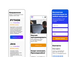 Дизайн сайта для IT школы