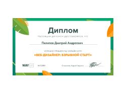 Окончил курс дизайн школы Way Up