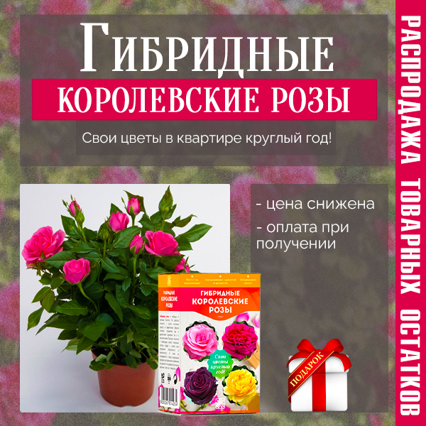 Для МТ 600x600.jpg