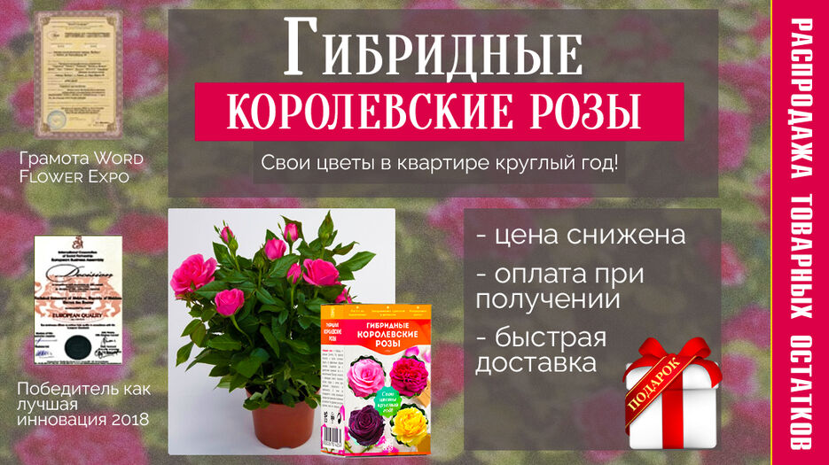 Для МТ.jpg