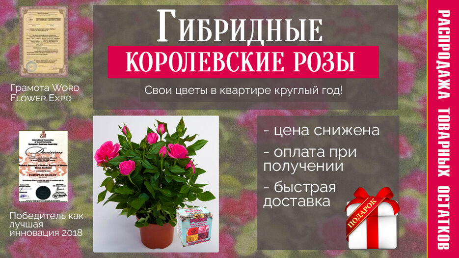 Для МТ2(2).jpg