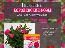 Реклама семян для рассады королевских роз
