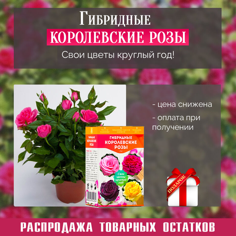 Финал 4.jpg