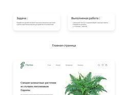Магазин комнатных растений Florius