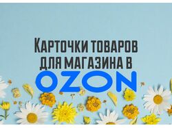 Карточки товаров для магазина Ромашка на Озон