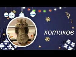 Новогоднее слайд-шоу