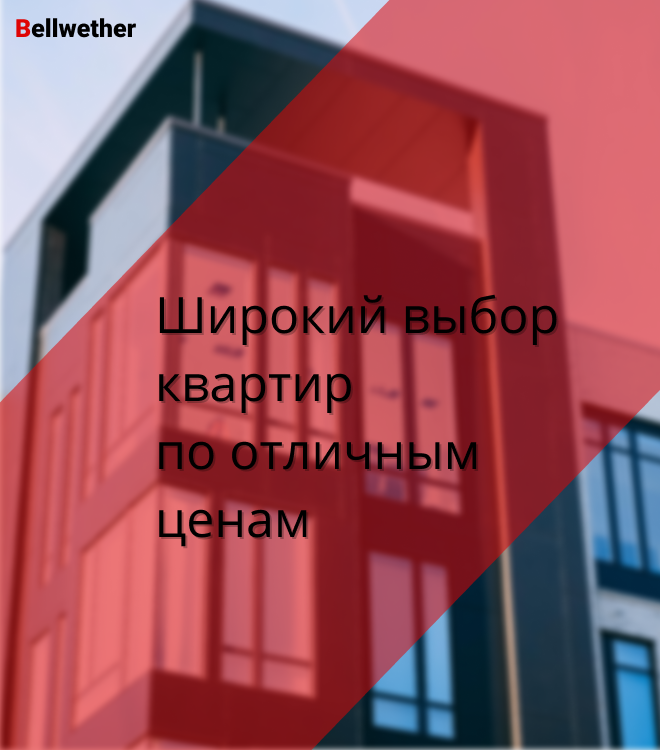 Frame 5.png
