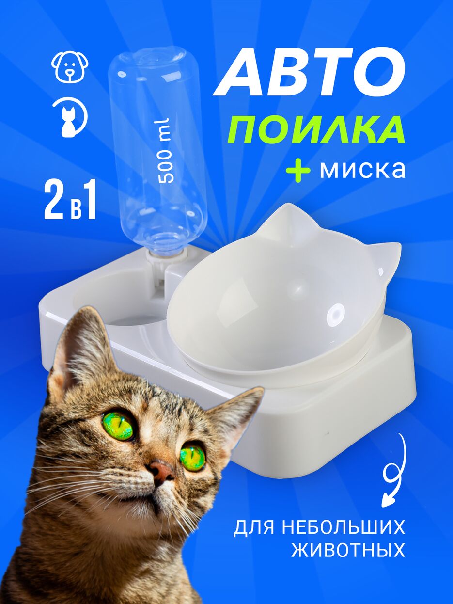 Инфографика-1.17.png