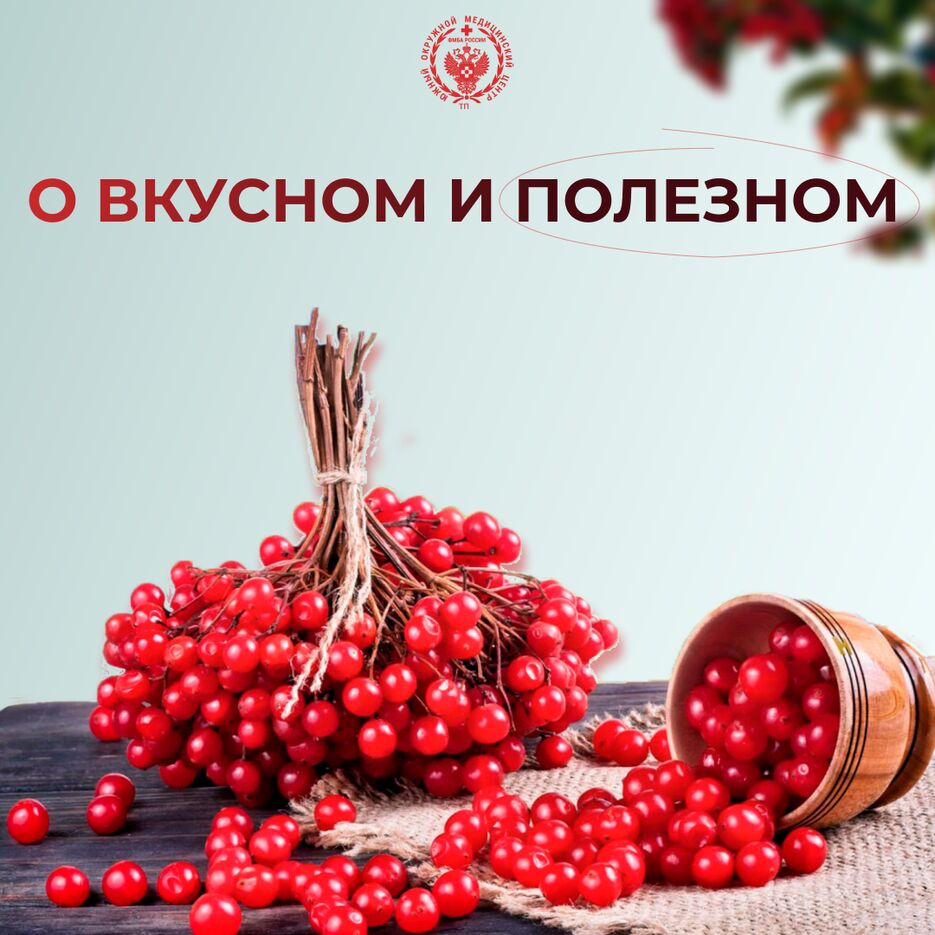 Калина 3.png