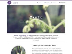 Адаптивная вёрстка сайта Minto