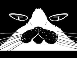 Skomorohi – Твой кот