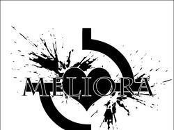 Логотип группы MELIORA
