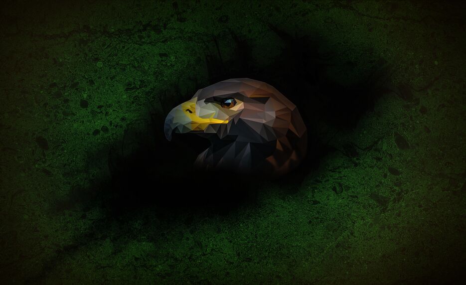 Eagle.png