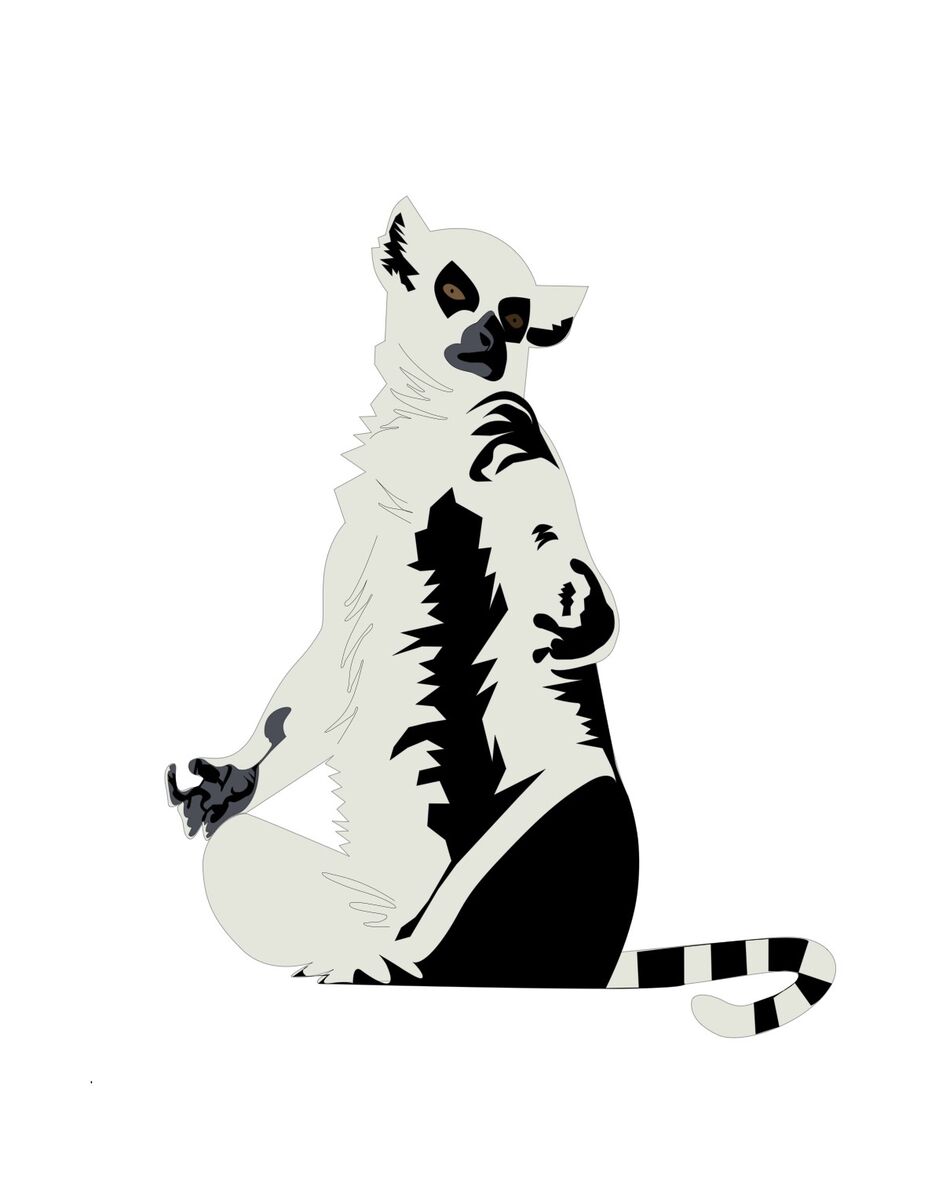 FA7D50DE-DBB1-4397-A6FB-BA2A56EFB550.jpeg