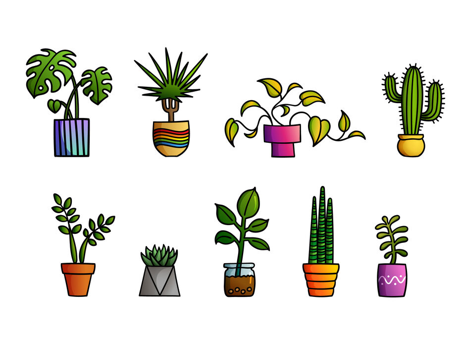 Flowers.jpg