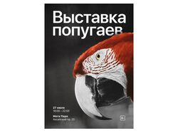 Лайтбокс с рекламой Выставки попугаев (сити)