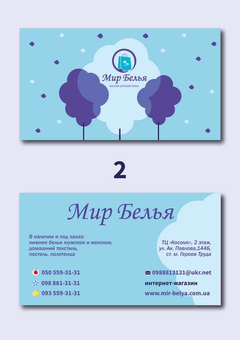 Визитка-02.png