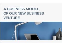 A Business Model of New Business Venture