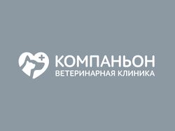 Логотип и фирменный стиль ветеринарной клиники