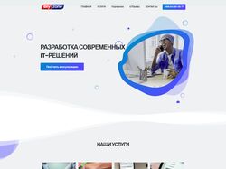 SkyZone IT company