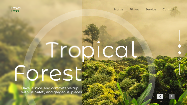 Tropical Forest.png