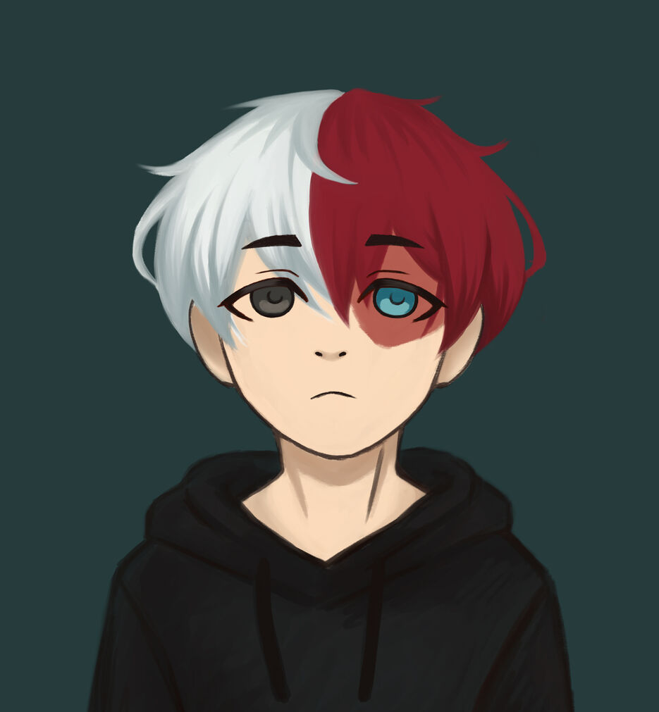 todoroki SHOTAA1.jpg