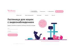 КОТИКО - отель для котиков