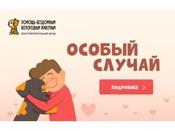 Баннеры для благотворительно организации
