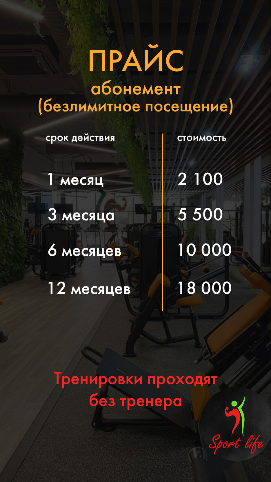 Монтажная область 2.jpg