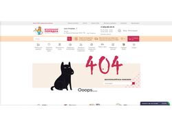 Макет 404 страницы для сайта ВП