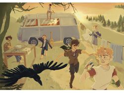 Разворот для Зина