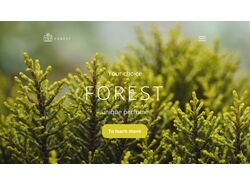 Лендинг для сайта продажи духов "Forest"