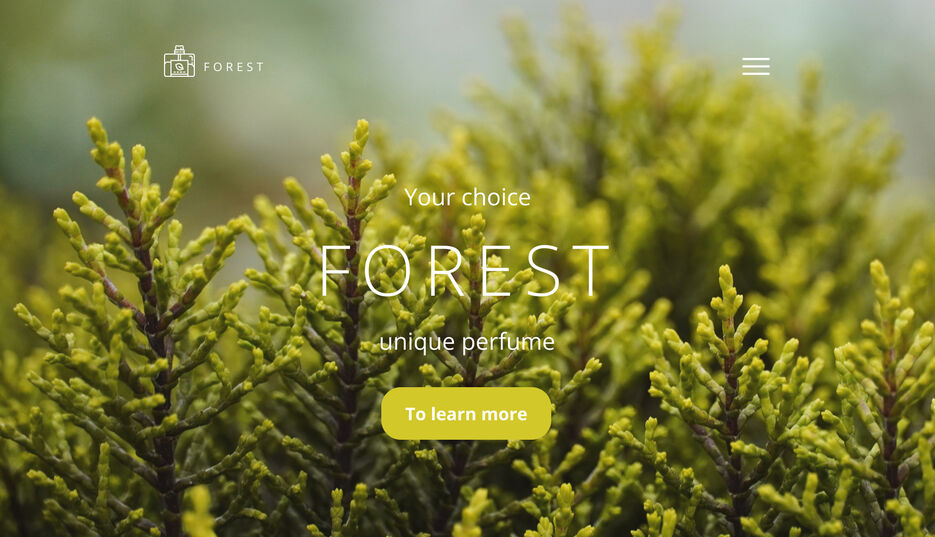 forest.jpg