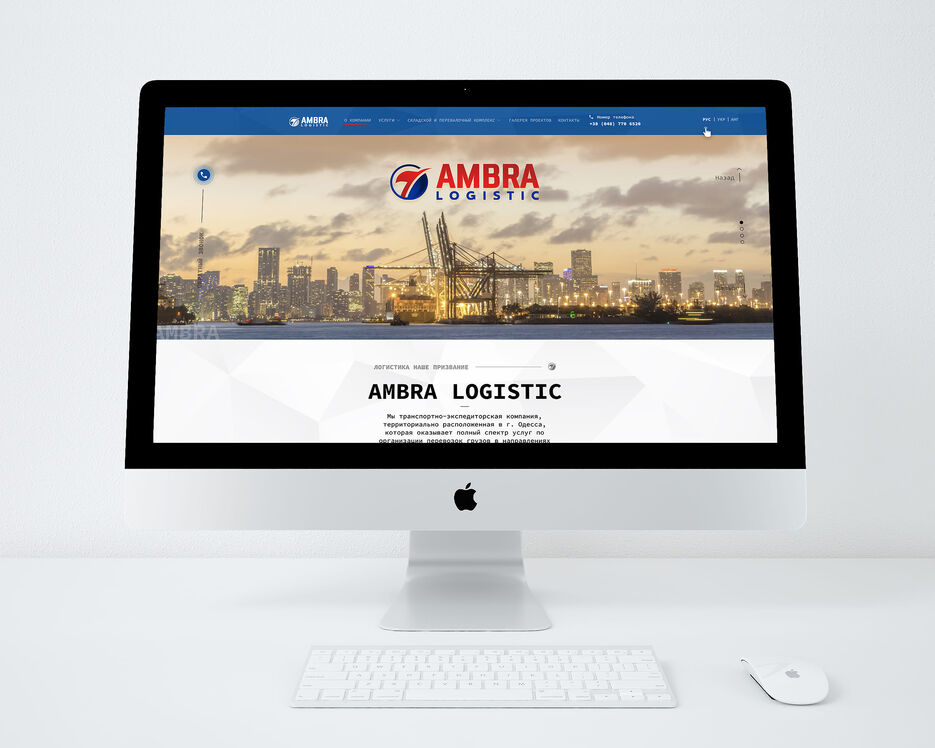 Ambra_logistic.jpg