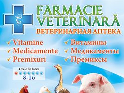 Баннер для ветеринарной аптеки