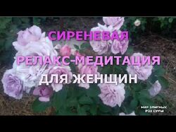 Сиреневая релакс-медитация для женщин. 5 минут в д
