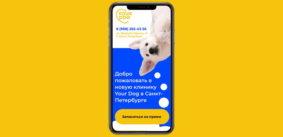прототип your dog.gif