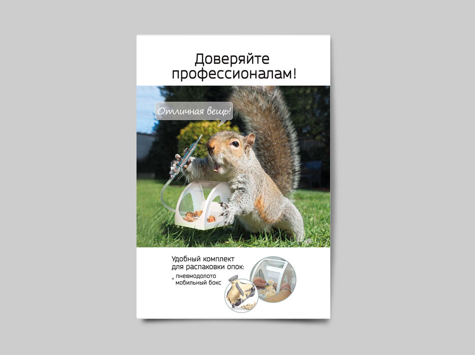 cover_белка.jpg