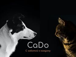 CaDo — дизайн лендинга