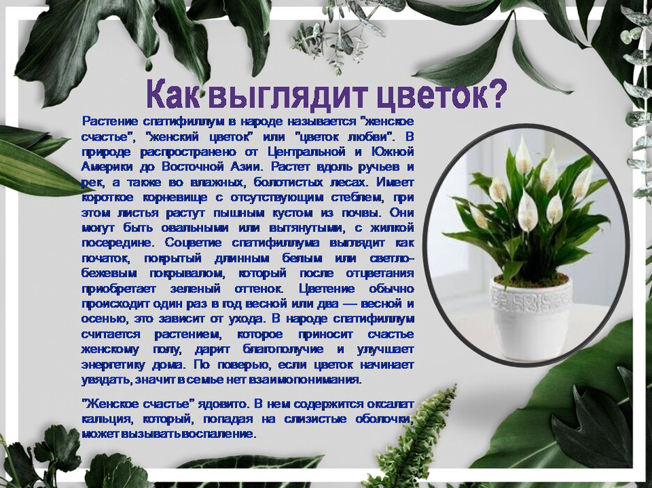 Слайд2.PNG