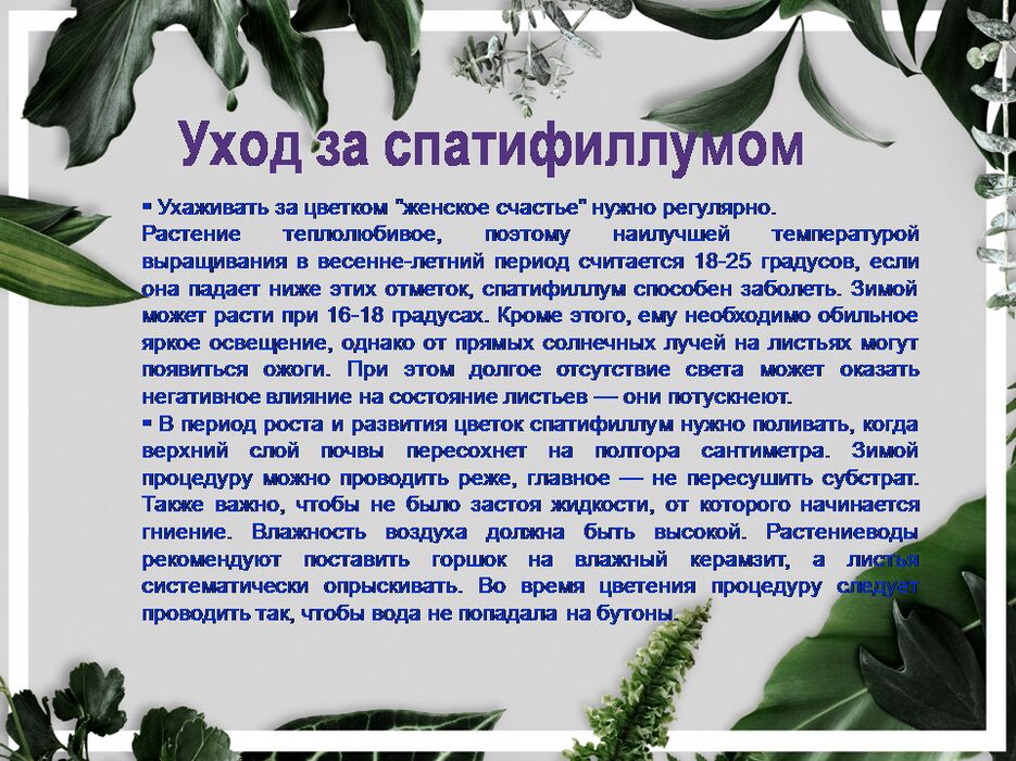 Слайд3.PNG